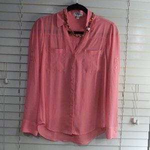 Express - V-Neck, Long Sleeve Blouse ** EUC **